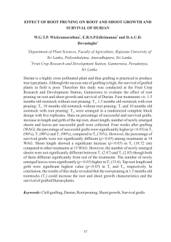 EFFECT OF ROOT PRUNING ON ROOT AND SHOOT GROWTH
