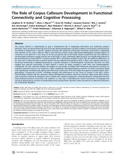 The Role of Corpus Callosum Development in