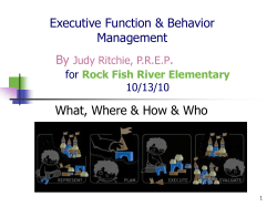 Executive Function