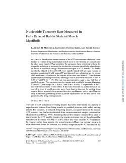 Nucleotide Turnover Rate Measured in Fully Relaxed Rabbit