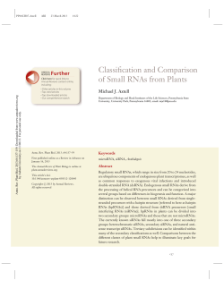 Classification and Comparison of Small RNAs from Plants
