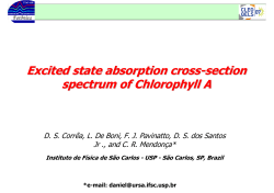 Excited state absorption cross-section spectrum of Chlorophyll A