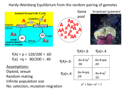 2.2.HardyWeinberg.13