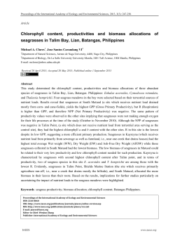 Chlorophyll content, productivities and biomass allocations of