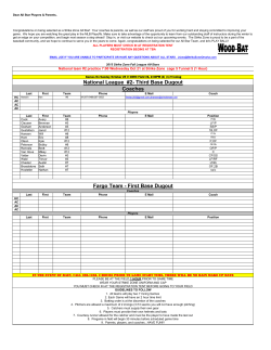 Fargo Team - First Base Dugout National League #2