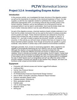 Project 3.2.4: Investigating Enzyme Action