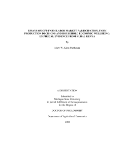 essays on off-farm labor market participation, farm production