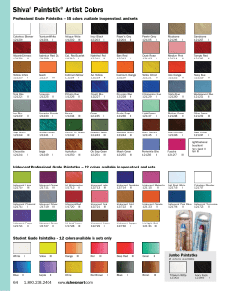 Shiva&reg; Paintstik&reg; Artist Colors