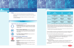 Safe Alcoholic Fermentation: Providing Complete Nutrition for the