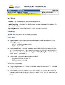 Performance Testing and Maintenance