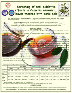 Screening of anti-oxidative effects in Camellia sinensis L. leaves