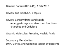 Starches - Alpha glucose subunits
