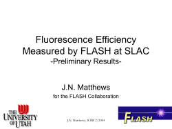 Fluorescence Efficiency Measured by FLASH at SLAC