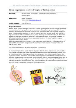 MSc and BSc thesis projects