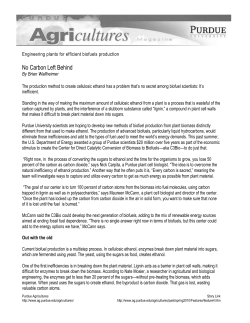 Purdue Agricultures Engineering plants for efficient biofuels