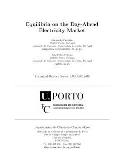 Equilibria on the Day-Ahead Electricity Market