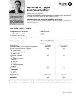 CA SG New Classic Passive Basic Plan 4