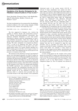 Elucidation of the Reaction Mechanism for the Palladium