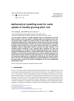 Mathematical modelling study for water uptake of steadily growing