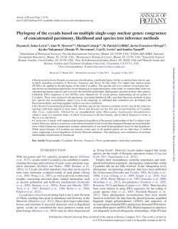 Phylogeny of the cycads based on multiple single