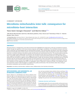 Microbiota&ndash;mitochondria inter-talk