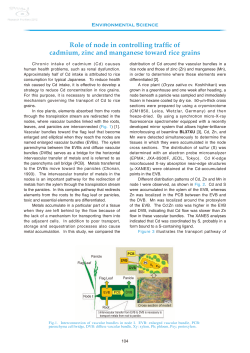 Hyoshi [COVER] - SPring-8