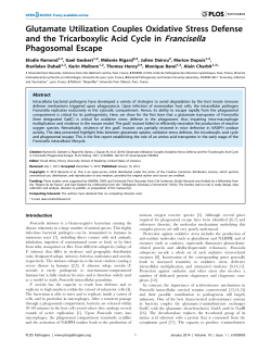 Glutamate Utilization Couples Oxidative Stress Defense and