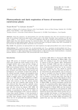 Photosynthesis and dark respiration of leaves of