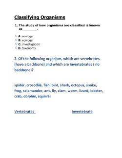 Classifying Organisms