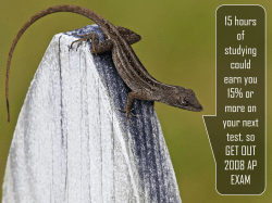 Calc. APR Ch. 5 at a glance 2017