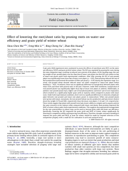 Effect of lowering the root/shoot ratio by pruning roots on water use