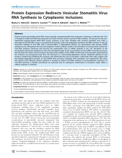 Protein Expression Redirects Vesicular Stomatitis Virus