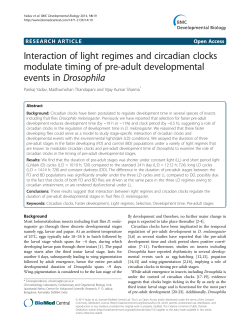 Interaction of light regimes and circadian clocks modulate timing of
