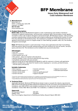 BFP Membrane System