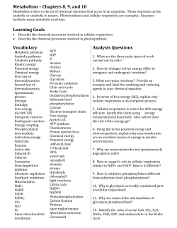 Metabolism &ndash; Chapters 8, 9, and 10