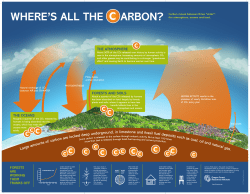 Large amounts of carbon are locked deep underground, in