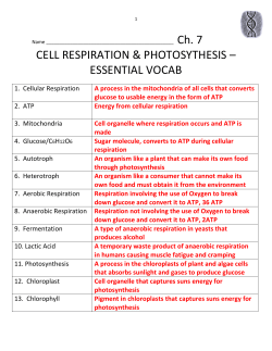 Energy from cellular respiration