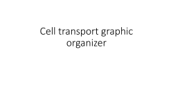 Cell transport graphic organizer