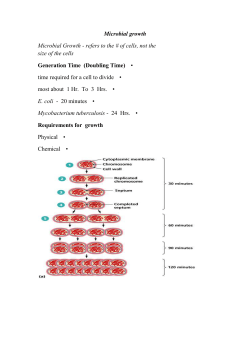 2. Log Phase