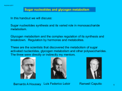 5 Sugar Nucleotides