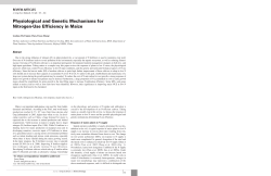 Physiological and Genetic Mechanisms for Nitrogen