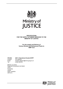 HM PRISON SERVICE - MINOR SERVICES CONTRACT FORM