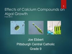 Effects of Calcium Compounds on Algal Growth