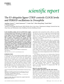 The E3 ubiquitin ligase CTRIP controls CLOCK levels and PERIOD
