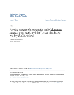 Aerobic bacteria of northern fur seal - SJSU ScholarWorks