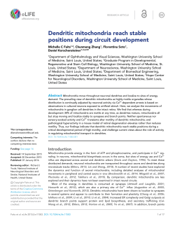 Dendritic mitochondria reach stable positions during circuit