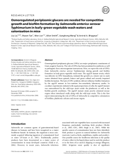 Osmoregulated periplasmic glucans are needed for competitive