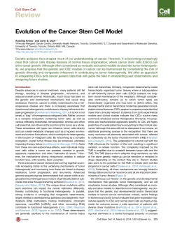 Evolution of the Cancer Stem Cell Model