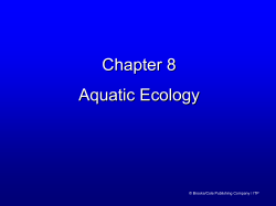 Chapter 8 Powerpoint ch08