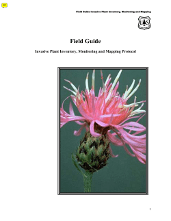 Forest Service Invasive Plant Inventory, Monitoring